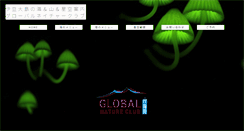 Desktop Screenshot of global-ds.com
