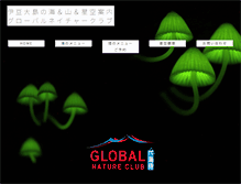 Tablet Screenshot of global-ds.com